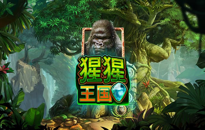华体会COM